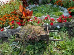 amenager jardin décoration brouette